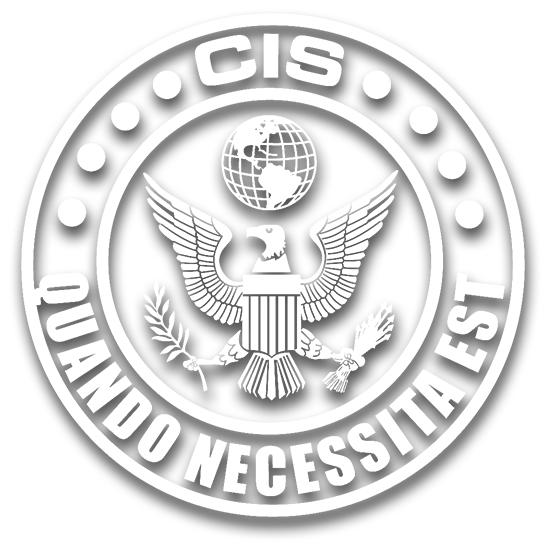 Critical Intervention Services logo